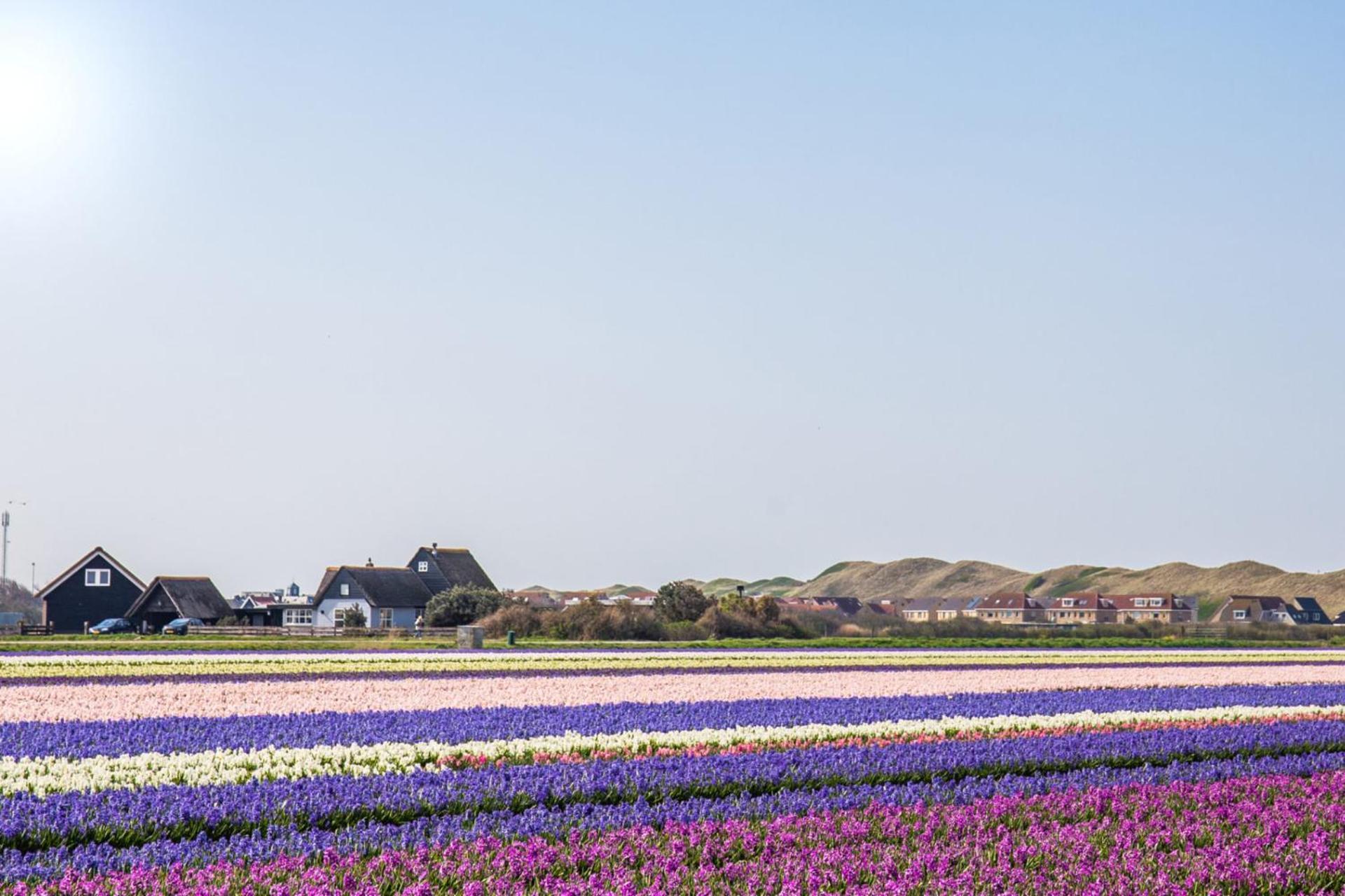 De Duintuin - In De Duinen, Groote Keeten Aan Zee Callantsoog Exterior foto